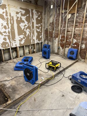 Restoration Services in O'Fallon, MO (4)