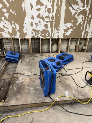 Restoration Services in O'Fallon, MO (5)