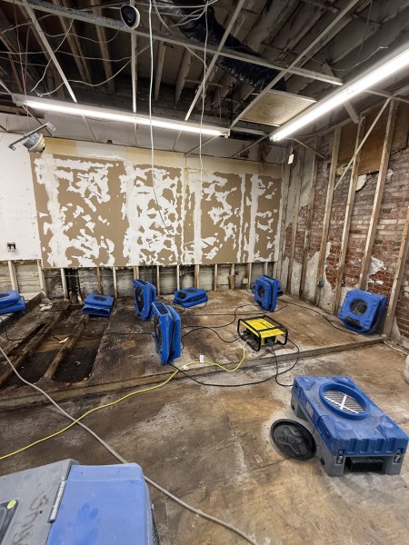 Restoration Services in O'Fallon, MO (9)